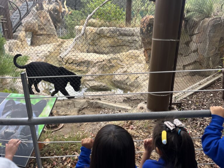 Orange County Zoo Review: Is It Worth It for Toddlers?
