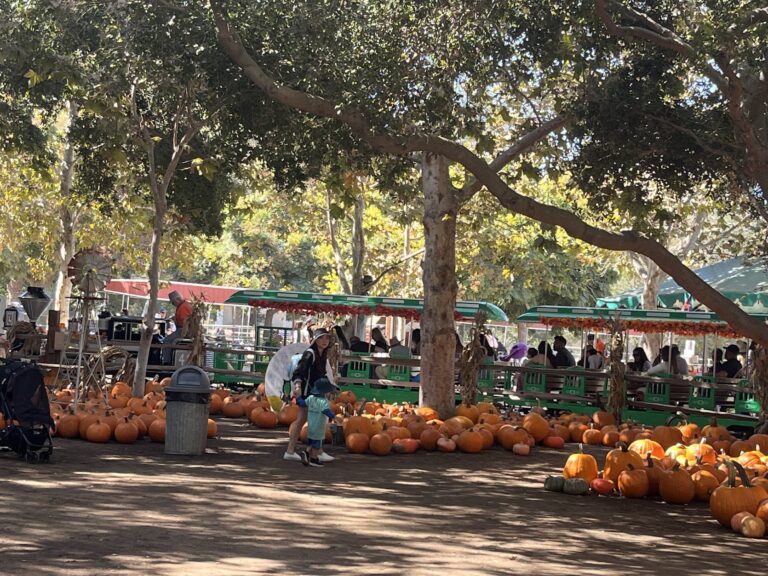 Irvine Park Railroad Review 2025: Is It Worth Visiting With Kids?